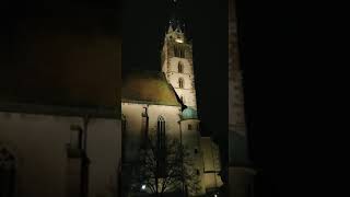 Barbaraglöckchen Münster St Johannes Neumarkt idOPf [upl. by Yrdua]