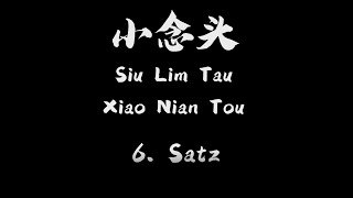 小念头  Siu Lim Tao  Xiao Nian Tou Section 6  Tan Jiat Gan Tuo Huen Zhang Huen [upl. by Venditti]