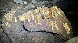 Mysterious Bone Shrine Found 200 Feet Below The Surface [upl. by Llertnod638]