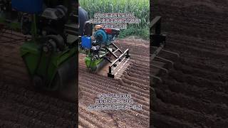 Mini tractor engine machine shorts agriculture modernfarmer youtbeshorts cropmanagement [upl. by Haret533]