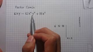 Primer Caso de Factorización Factor Común Ejercicio 1 [upl. by Dwane]