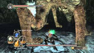 Dark Souls 2  How to Beat the Royal Rat Authority Boss [upl. by Mukerji]