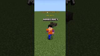 4 easter egg name tag yang ada di minecraftshorts [upl. by Gnus933]