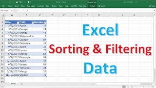 Excel Sorting and Filtering Data [upl. by Yves]