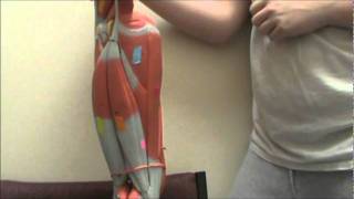 Lower Extremity Muscles [upl. by Demahum98]