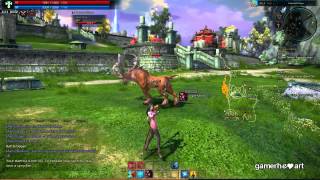 Gameplay TERA CBT5  High Elf Priest [upl. by Pernell206]