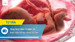 Người sinh THÁNG 1 thuộc CUNG GÌ Tính cách tình yêu sự nghiệp như thế nào [upl. by Ury448]