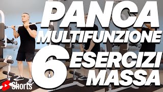 Panca Multifunzione 6 Esercizi per la Massa di Spalle e Braccia Shorts [upl. by Dirgis]