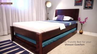 Trundle Bed  Buy Fyodor Trundle Bed Online with Special discounts  Wooden Street [upl. by Ialohcin]