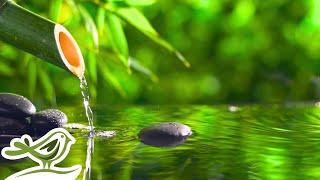 Peaceful Spa Radio 💦 Water Sounds amp Relaxing Music 247 [upl. by Nauwaj]