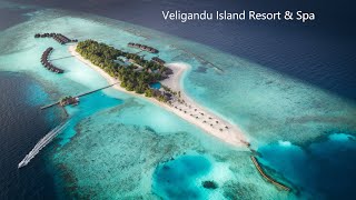 Maldives Hotels  Veligandu Island Resort amp Spa [upl. by Einnos]