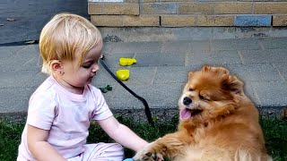 Baby Milas Fun Playtime w Lucky the Dog  Cute PUPPY Video [upl. by Nirual]