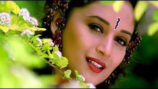 Dekha Hai Pehli Baar  4K Video Song  Salman Khan Madhuri Dixit  Saajan  90s Best Romantic Song [upl. by Yennaiv660]