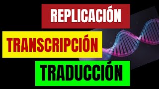 REPLICACIÓN TRANSCRIPCIÓN Y TRADUCCIÓN CELULAR [upl. by Ytima]