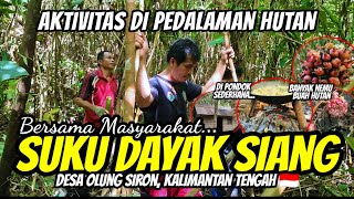 AKTIVITAS DI PEDALAMAN HUTAN KALIMANTAN TENGAH 🇮🇩 BERSAMA MASYARAKAT SUKU DAYAK SIANG [upl. by Hanfurd]