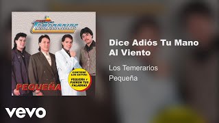 Los Temerarios  Dice Adiós Tu Mano Al Viento Audio [upl. by Sheeb]