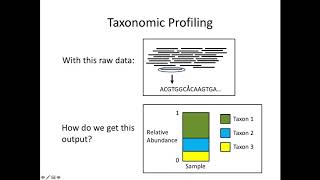 Analysis of Metagenomic Data [upl. by Elamor]