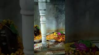 Lingashtakam  Lord Shiva Songs  Brahma Murari Surarchita Lingam yoitubeshortsviral bhajans [upl. by Inaliel565]