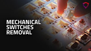 How to remove and replace mechanical switches on a Dygma Raise keyboard [upl. by Iver]