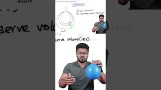 Expiratory Reserve Volume Explained Watch full video neetpreparation neetbiolgy neet2024 [upl. by Idet]