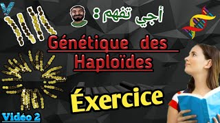 Vidéo 2 Génétique des Haploïdes en Arabe SVI S4 Exercice facile et important [upl. by Arahd692]