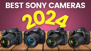 5 Best Sony Cameras 2024 [upl. by Yelrahc702]