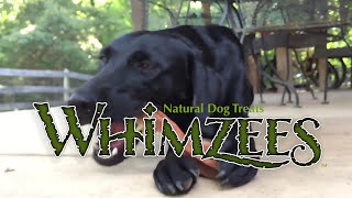 WHIMZEES Dental Chews  Why We Love Them [upl. by Ferriter]