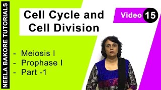 Cell Cycle amp Cell Division  NEET  Meiosis I  Prophase I  Part  1  Neela Bakore Tutorials [upl. by Peta]