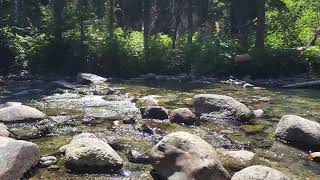 Ingalls Creek at Fourth Creek junction [upl. by Ramedlab666]