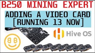 Adding a GPU to my Asus B250 Mining Expert  Running 13 NVIDIA cards in HIVE OS [upl. by Anehsuc]