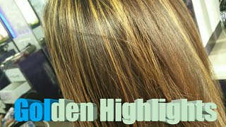 Golden Highlights  Blonde colour  LOreal Hair colouring indian hair [upl. by Bahr668]