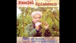 1995 KAMIEL SPIESSENS het isj niet moeilijk het isj gemakkelijk [upl. by Eanram]