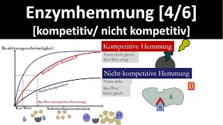 Enzymhemmung kompetitive Hemmung  nichtkompetitive Hemmung 46  Biologie Oberstufe [upl. by Ielhsa]