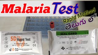 Malaria Test in Telugu [upl. by Eiramoj]