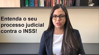 Entenda o seu processo judicial contra o INSS [upl. by Einreb]