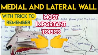 Medial and lateral wall of nose Anatomy  1 explanation with model✌️✌️ [upl. by Joellyn929]