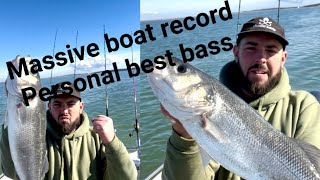 MASSIVE boat record bass  boat fishing uk 🇬🇧 winter plaice fishing fishing fish boatfishinguk [upl. by Clifford896]