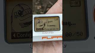 Flipper Zero New Firmware Update shorts [upl. by Giulio556]