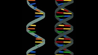 Ácidos Nucleicos Descripción de la estructura química [upl. by Niltyak986]