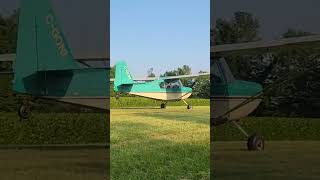 Wheel landing on grass in a Citabria airplane airplane aviation flying girl [upl. by Davis298]