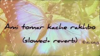 Ami Tomar Kache Rakhbo   Arijit Singh  SlowedReverb [upl. by Nylsirhc]