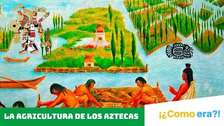 ¿Cómo era la AGRICULTURA para los AZTECAS🇲🇽⌛️🌽 [upl. by Rednirah]