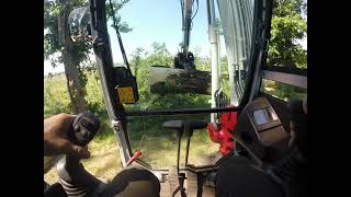 Takeuchi TB290 doing some tree work [upl. by Aloivaf]