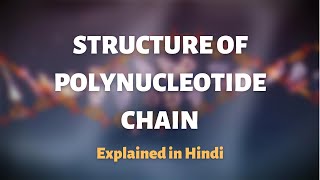 STRUCTURE OF POLYNUCLEOTIDE CHAIN  class 12 polynucleotide chain [upl. by Nilad]