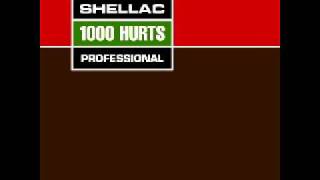 Shellac  1000 Hurts  02  Squirrel Song 2000 [upl. by Nyrol572]