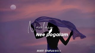 Tamil Whatsapp Status  Love Songs New  Love Whatsapp Status Tamil  female version status tamil [upl. by Cathy186]