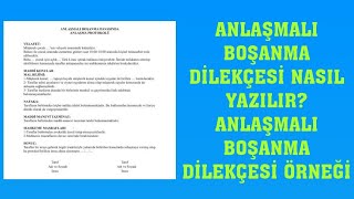 Anlaşmalı Boşanma Dilekçesi Nasıl Yazılır Anlaşmalı Boşanma Dilekçesi Örneği [upl. by Lash]