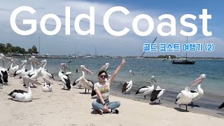 🇦🇺호주vlog 야생펠리컨캥거루코알라 이게호주지  charis seafood Coombabah Lake ConservationPark [upl. by Nauqet686]