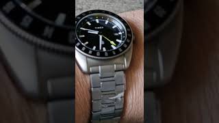 Timex vs James Brand GMT Watch Showdown [upl. by Nomi]