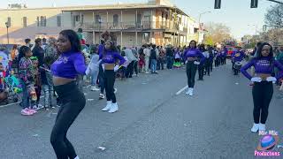 St Martinville Senior High quotMarching Tigersquot Band  Bayou Mardi Gras Parade 2024  New Iberia LA [upl. by Dinnie598]